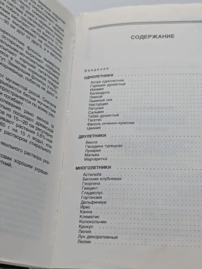 Цветы в саду