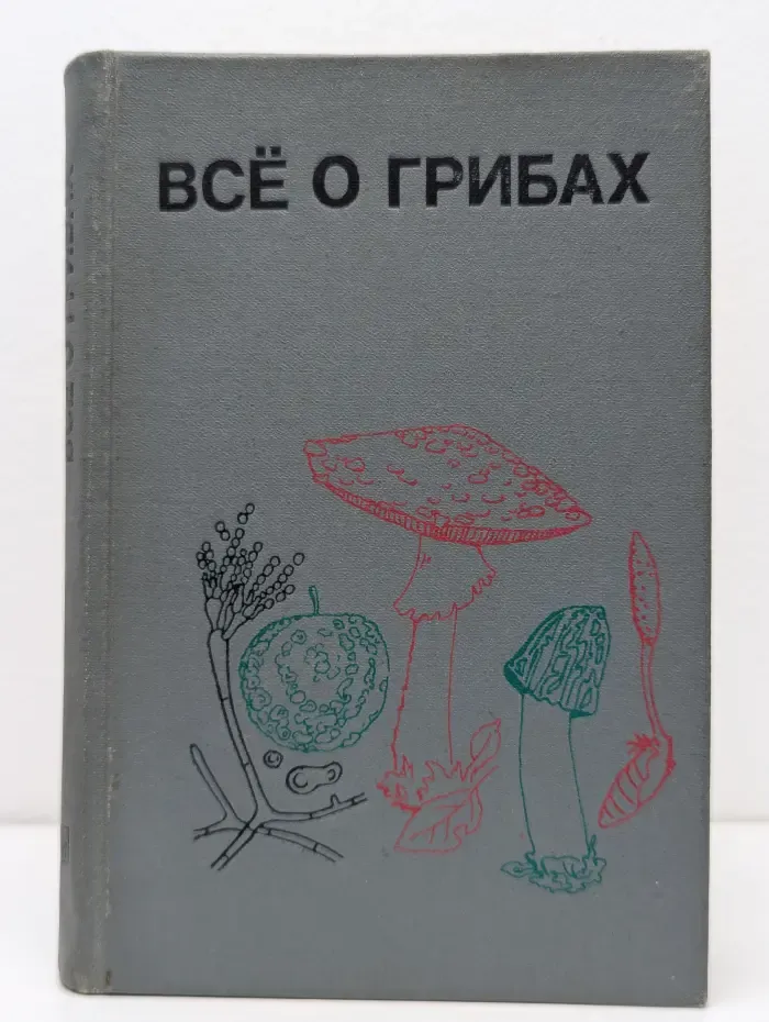 Все о грибах