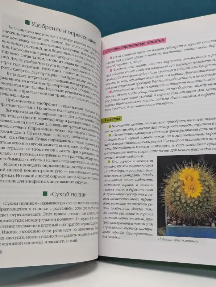 Живой мир вокруг нас. Ваш любимый кактус