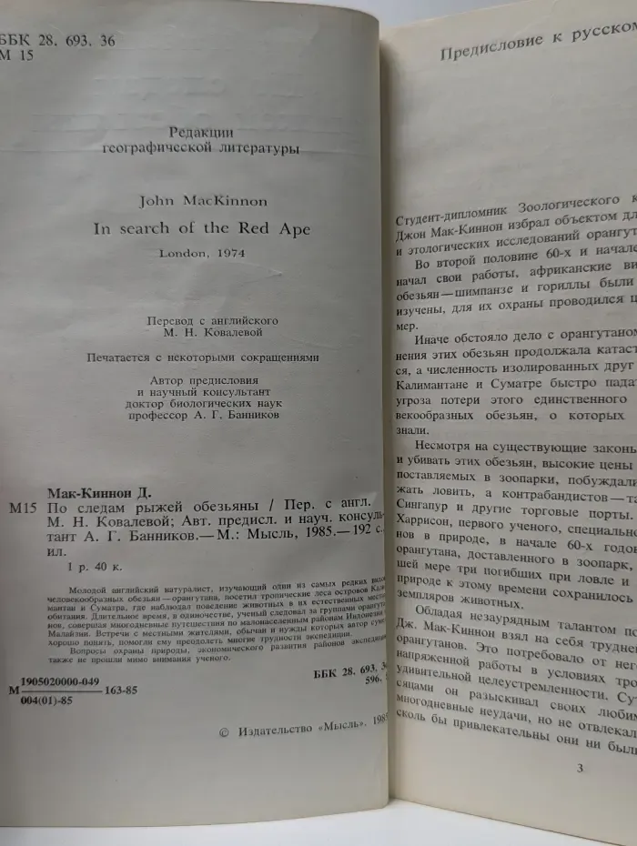 По следам рыжей обезьяны