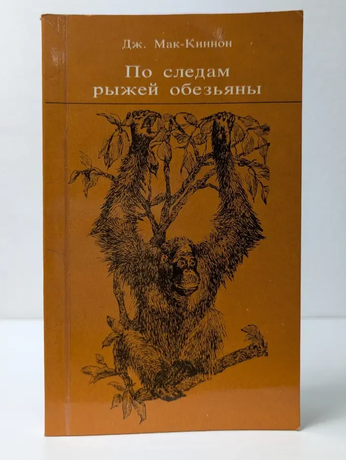По следам рыжей обезьяны