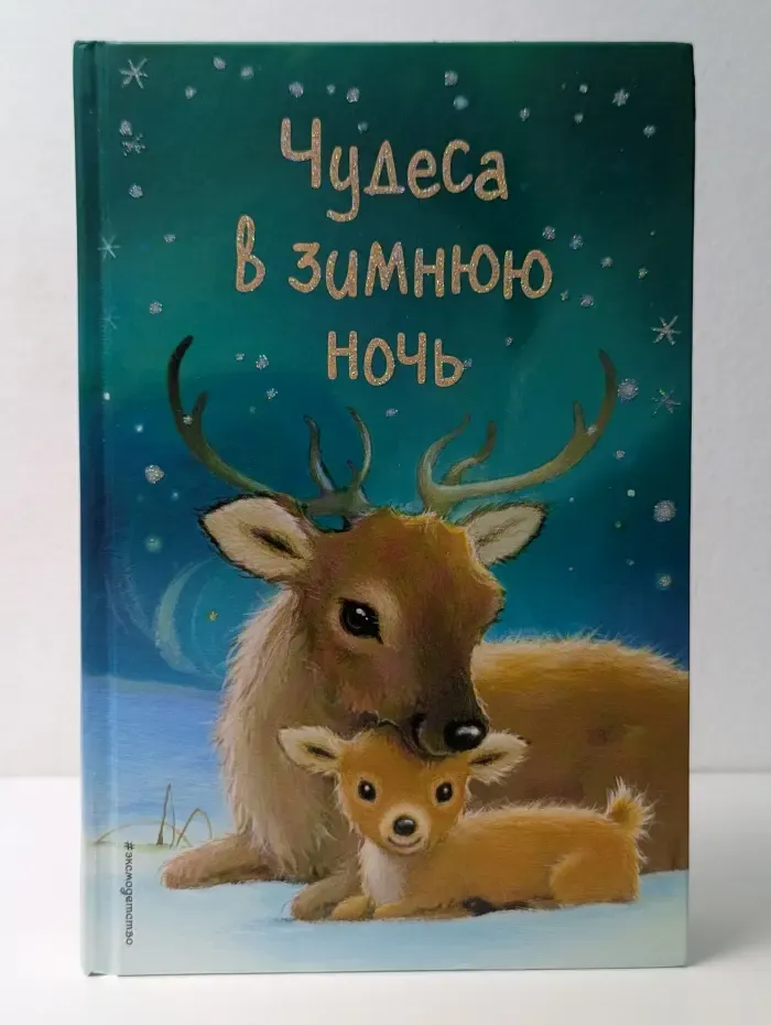 Чудеса в зимнюю ночь