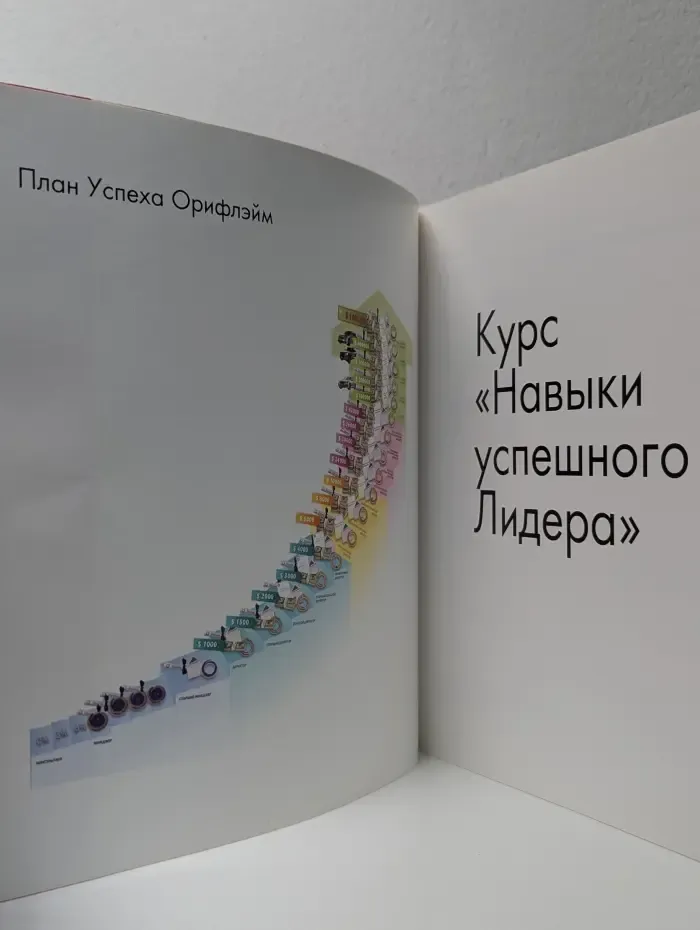 Курс «Навыки успешного Лидера»