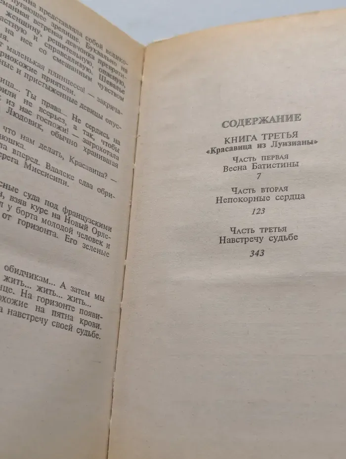 Флорис. Роман в 4 книгах. Книга 3