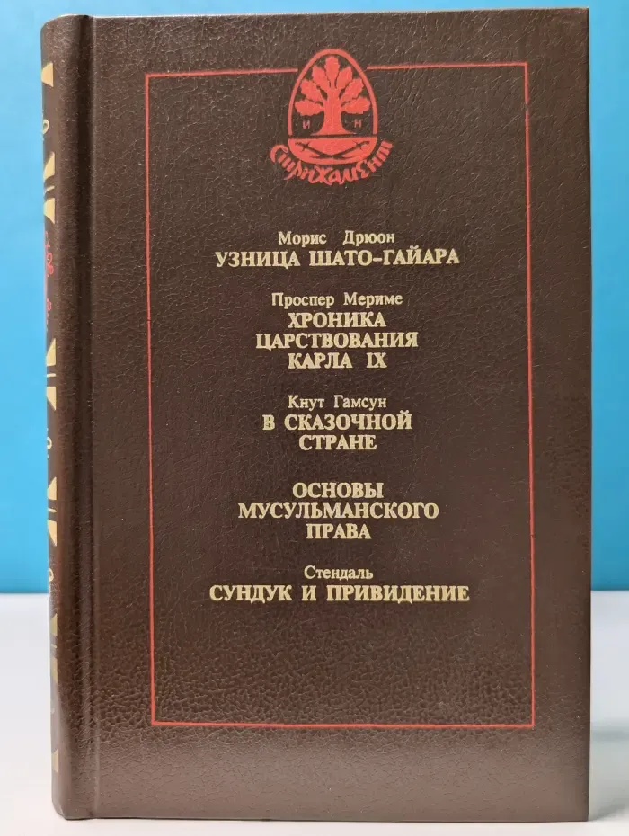 Узница Шато-Гайара. Хроника царствования Карла IX. В сказочной стране. Основы мусульманского права. Сундук и привидение