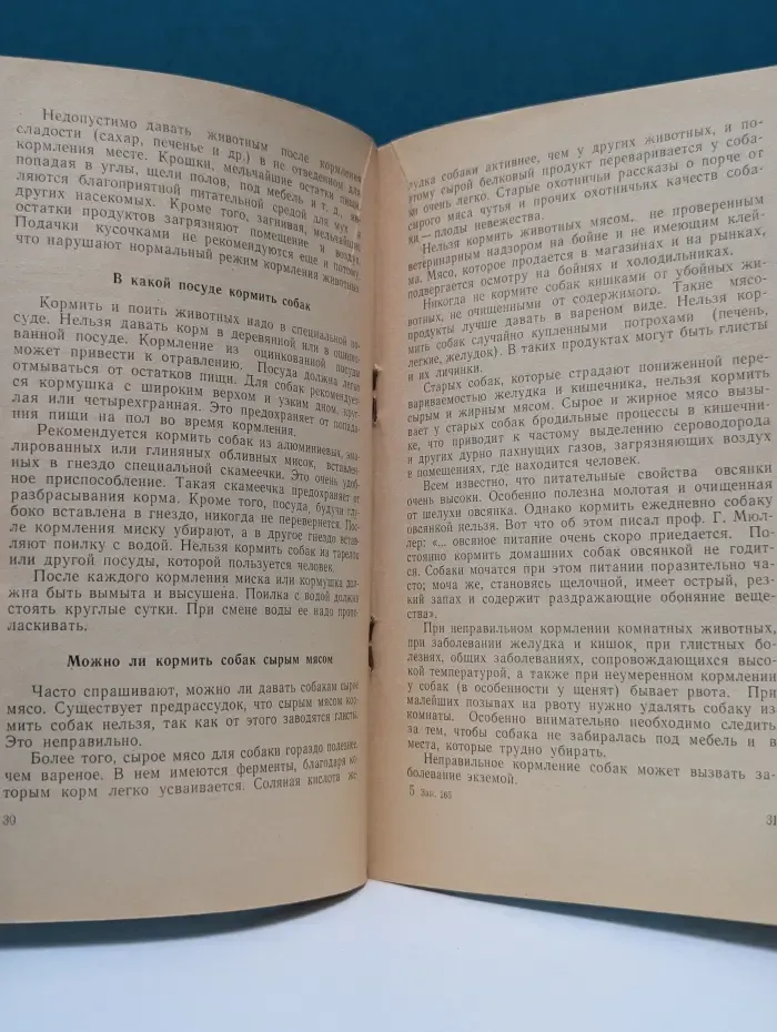 Собаки и кошки в быту