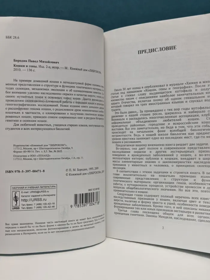 Кошки и гены