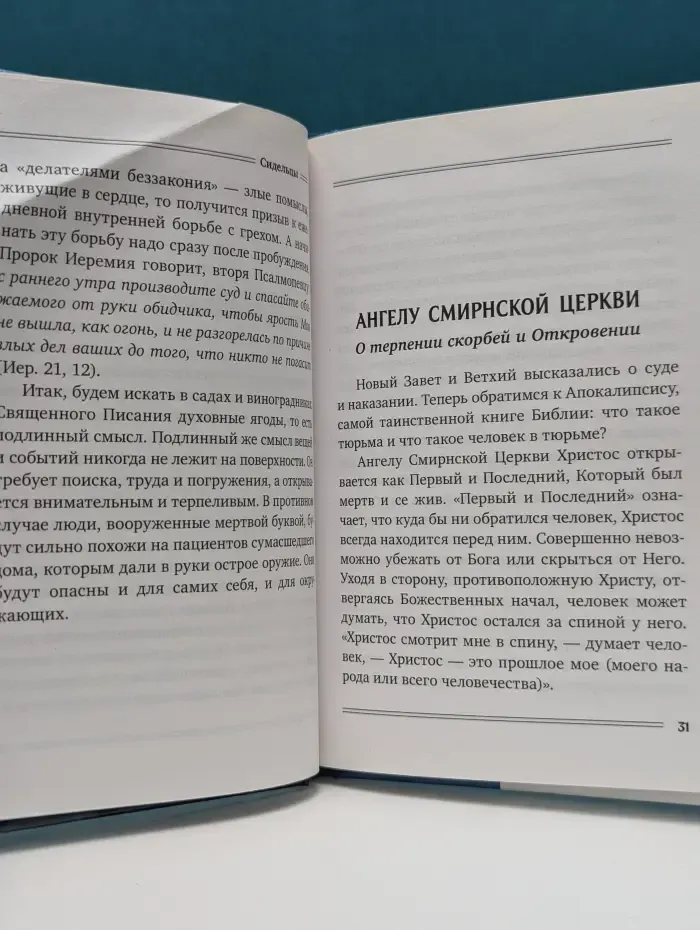 Сидельцы. Сборник эссе