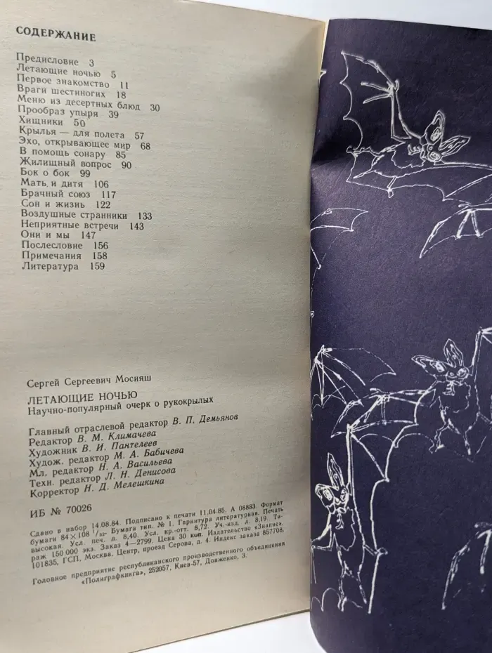 Летающие ночью
