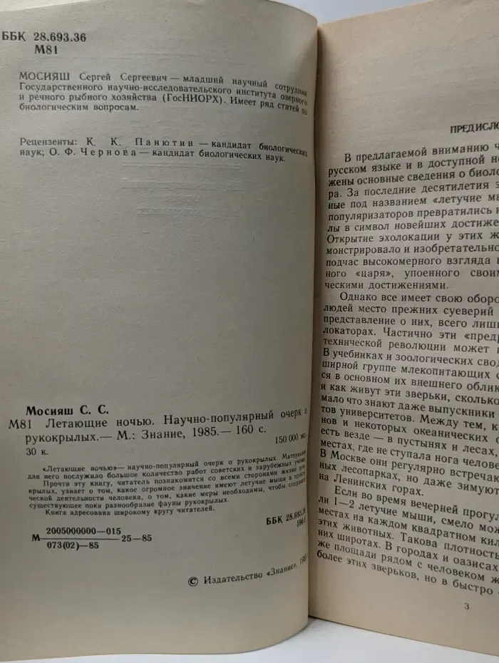 Летающие ночью
