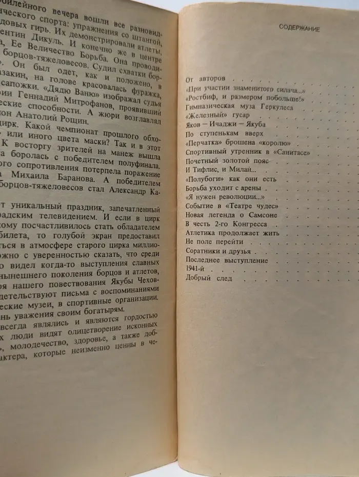 Богатырь Якуба