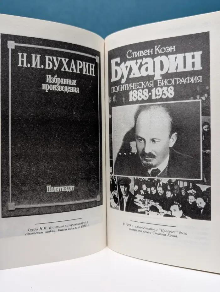 Анна Ларина (Бухарина). Незабываемое