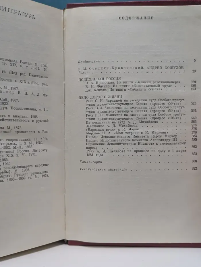 История Отечества в романах, повестях. документах. Блестящая плеяда