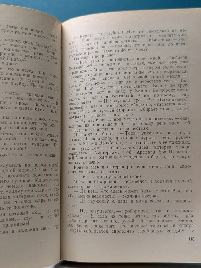 Будденброки. История гибели одного семейства