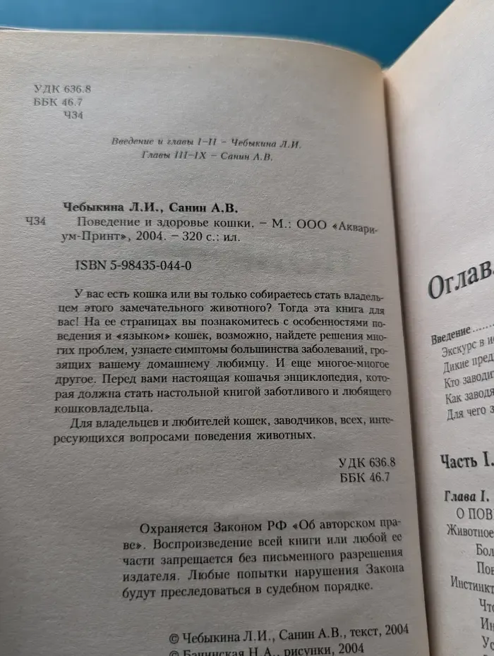 Поведение и здоровье кошки