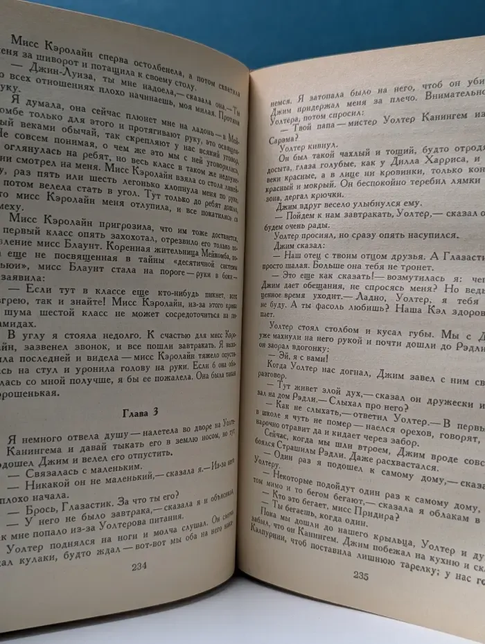 Вино из одуванчиков. Убить пересмешника. Над пропастью во ржи