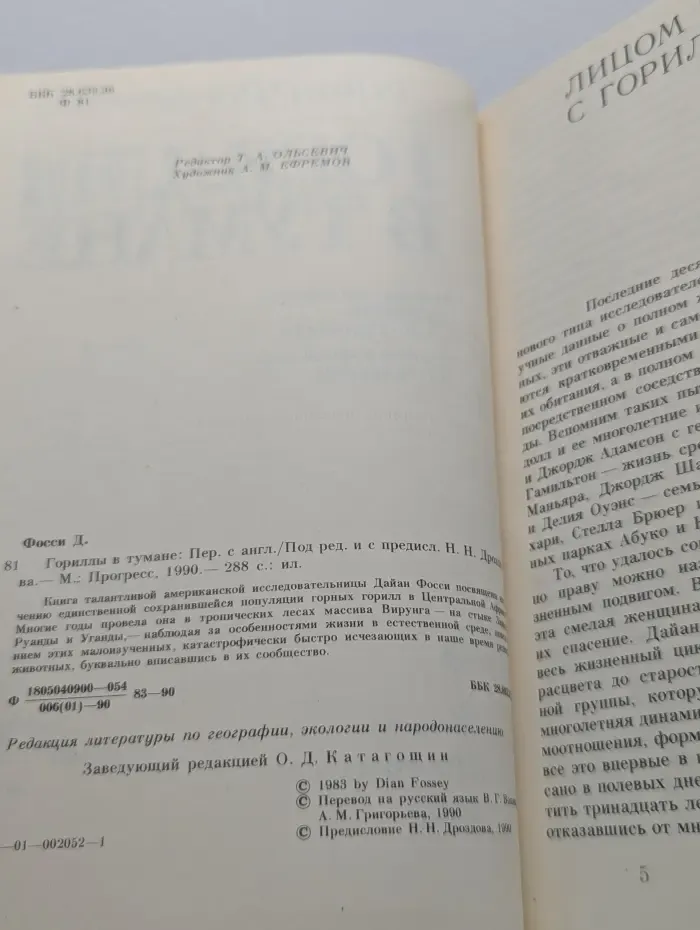 Гориллы в тумане