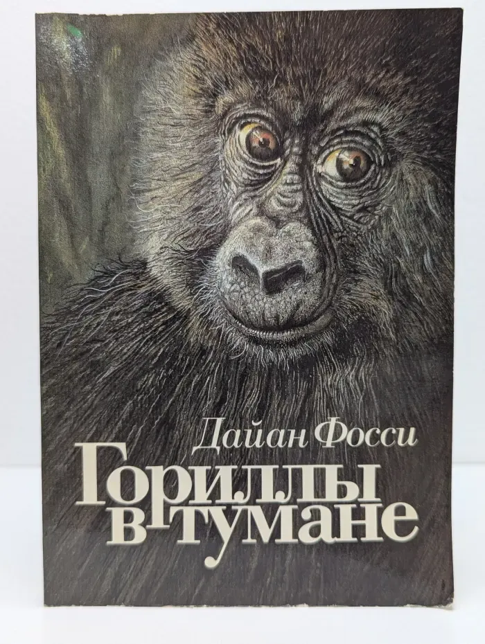 Гориллы в тумане