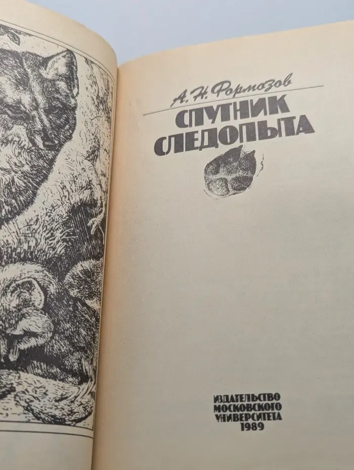 Спутник следопыта
