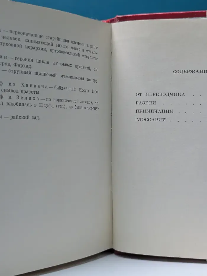 Дехлеви Амир Хорсов. Избранные газели