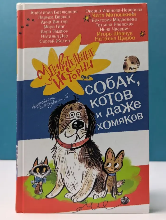 Удивительные истории – детям. Удивительные истории про собак, котов и даже хомяков