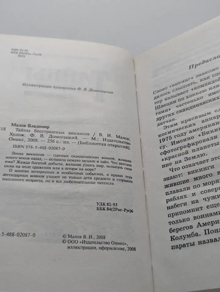 Библиотека открытий. Тайны бесстрашных викингов