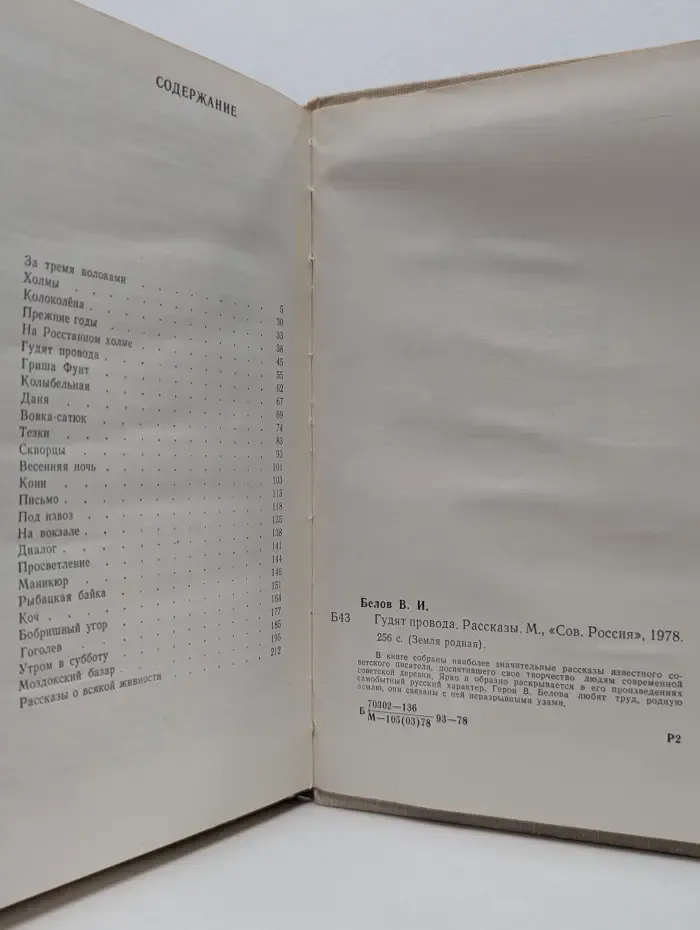 Земля родная. Гудят провода
