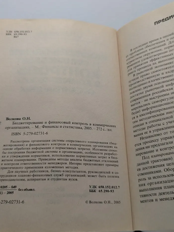 Бюджетирование и финансовый контроль в коммерческих организациях