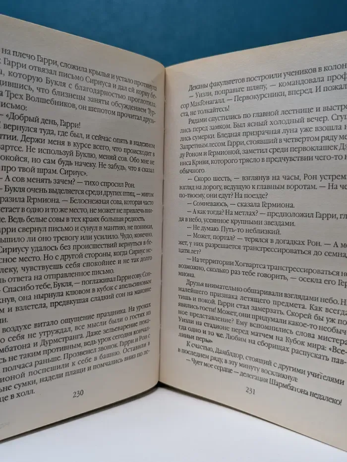 Гарри Поттер и Кубок Огня
