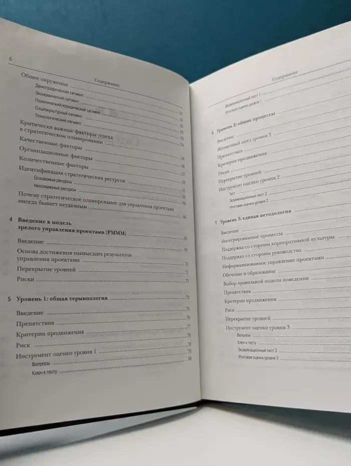 Стратегическое планирование для управления проектами с использованием модели зрелости
