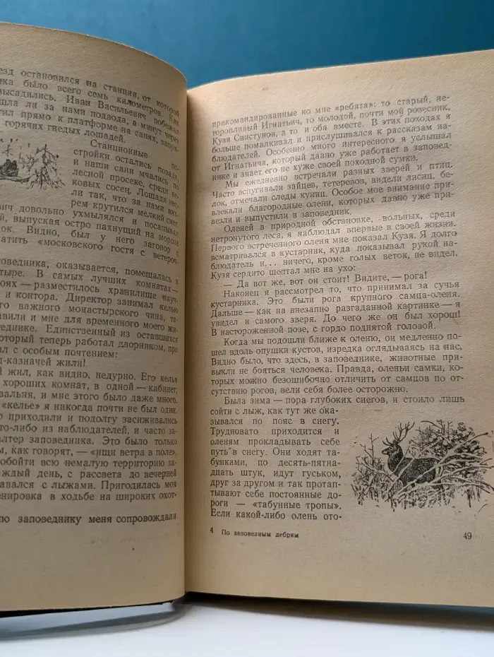 Школьная библиотека. По заповедным дебрям