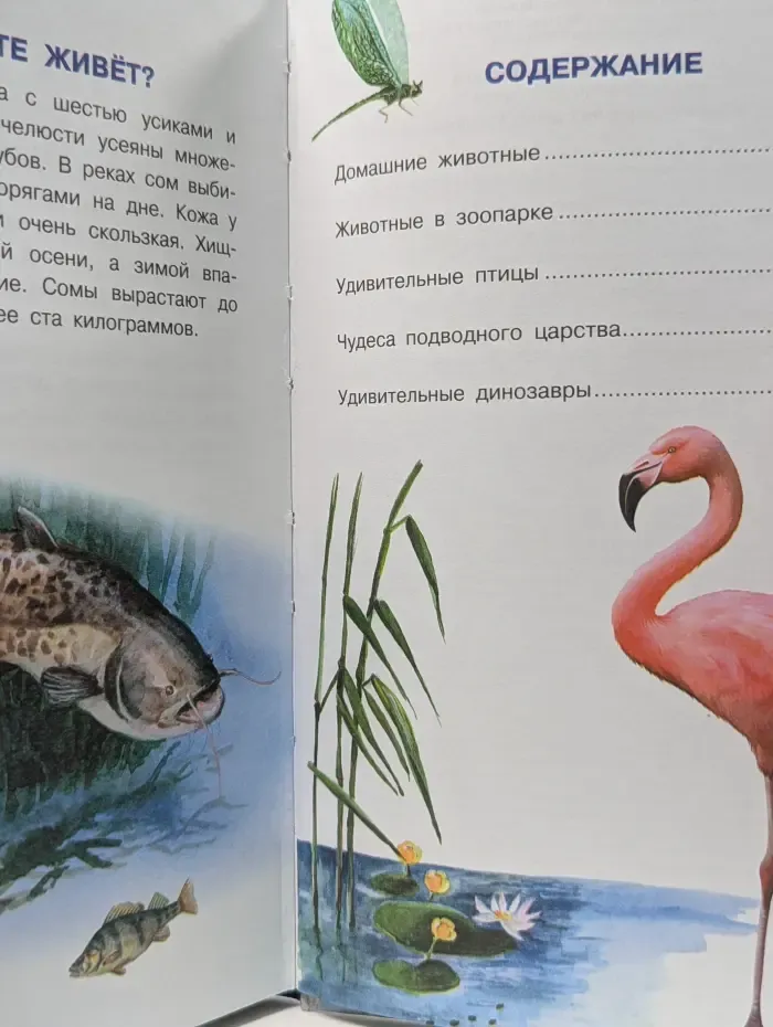 Энциклопедия малыша. Все о животных для самых маленьких