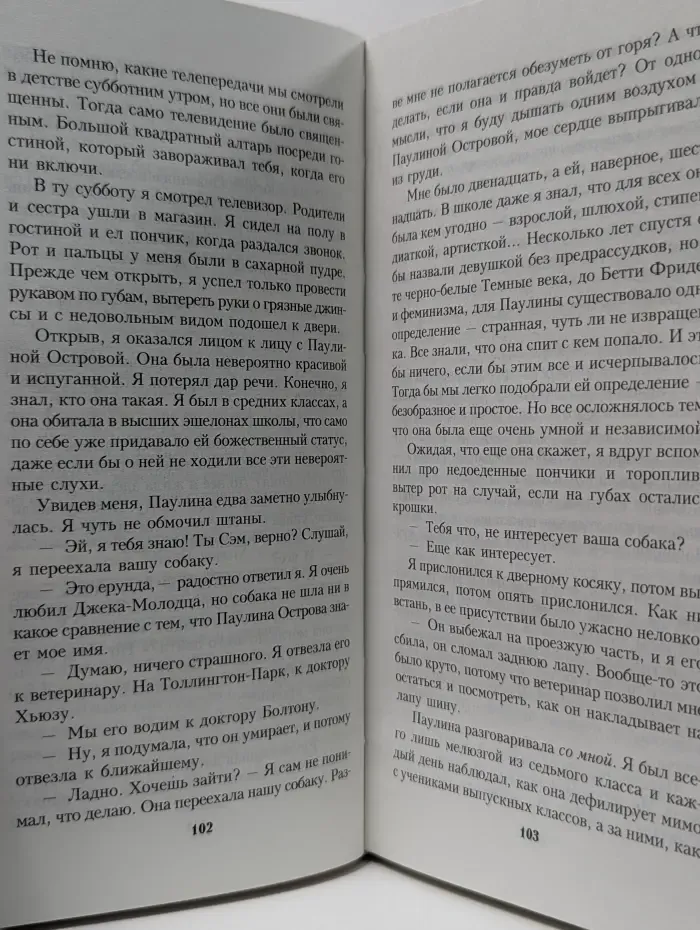 Писатель. Поцеловать осиное гнездо