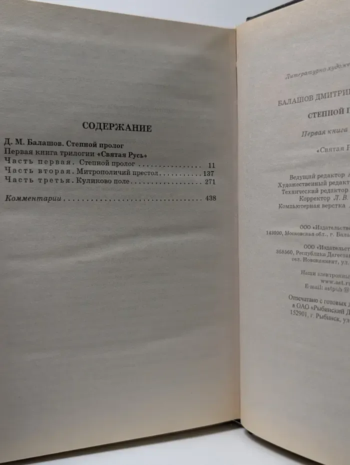 Святая Русь. Книга 1. Степной пролог