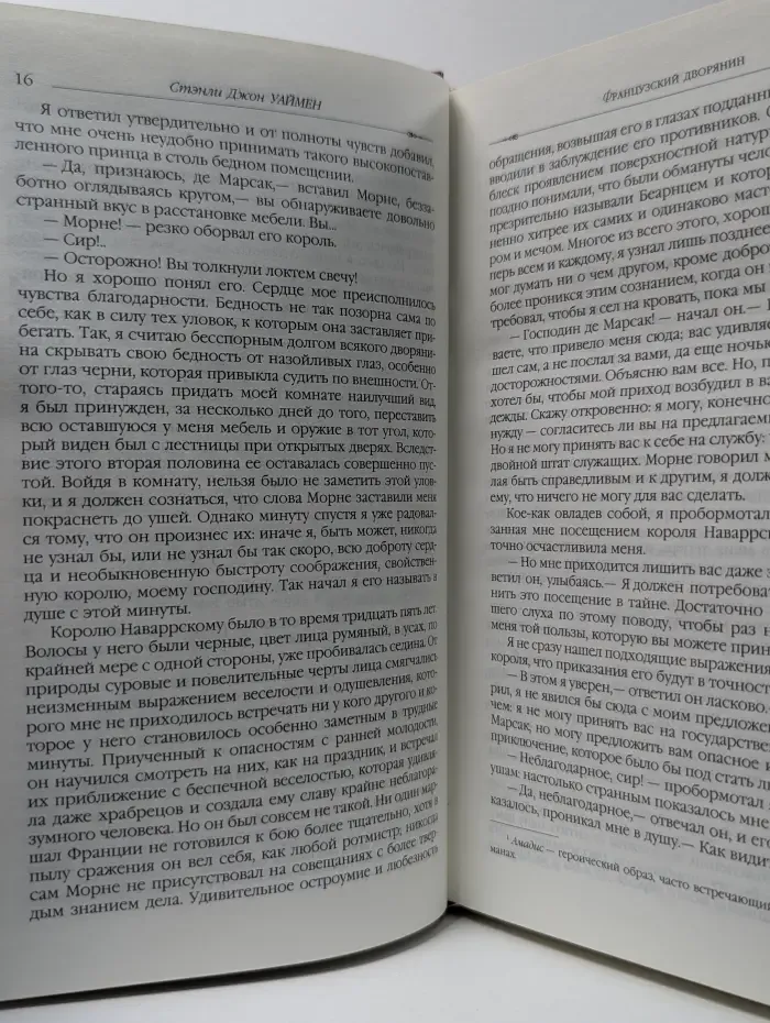 Классика приключенческого романа. Французский дворянин
