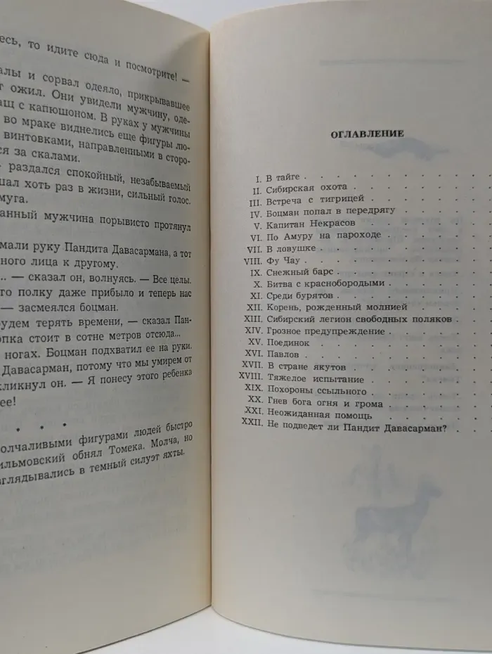 Таинственное путешествие Томека