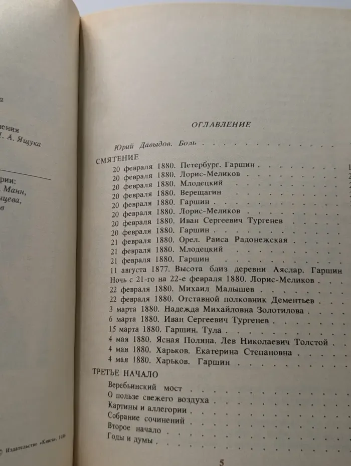 Писатели о писателях. Грустный солдат, или Жизнь Всеволода Гаршина