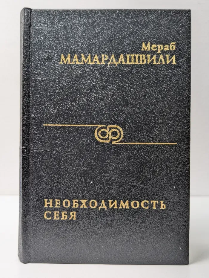 Необходимость себя. Введение в философию. Лекции. Статьи. Философские заметки