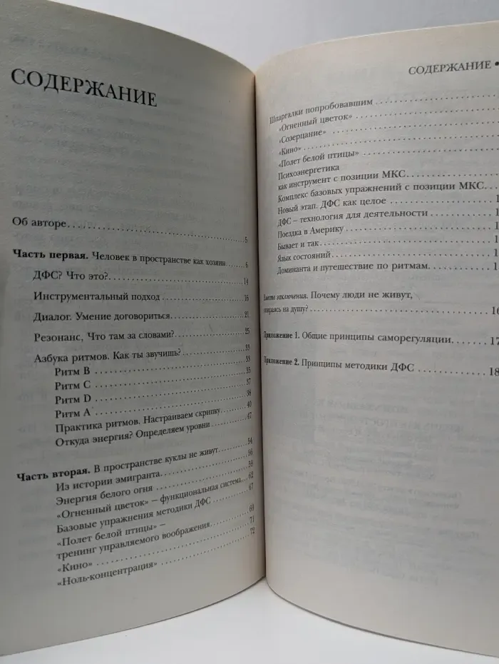 Возвращение силы. Жизнь как пространство отношений. Методика ДФС Огненный цветок