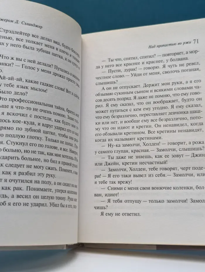 Интеллектуальный бестселлер. Над пропастью во ржи