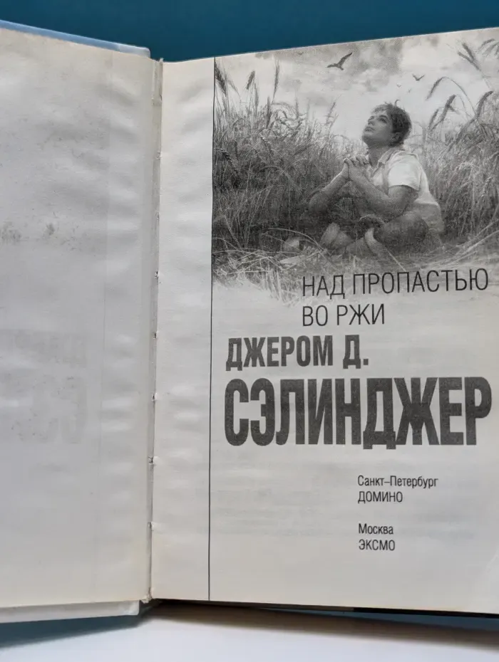 Интеллектуальный бестселлер. Над пропастью во ржи