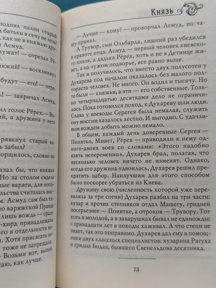 Историческая фантастика. Князь