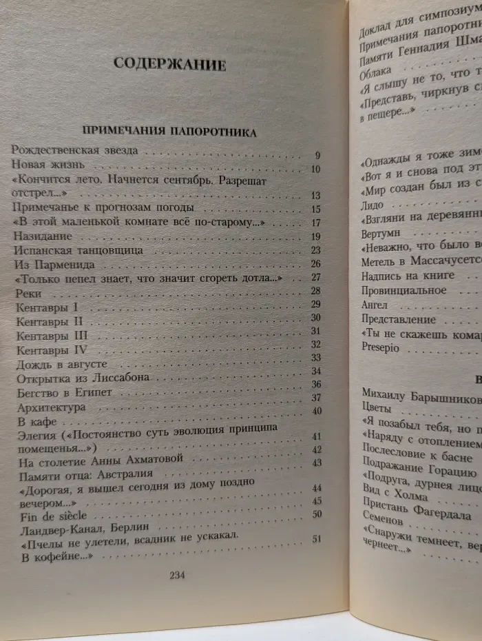 Пейзаж с наводнением