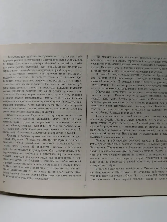 Карпаты глазами любознательных