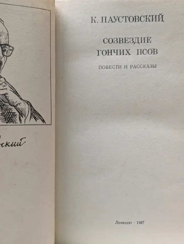 Школьная библиотека. Созвездие гончих псов