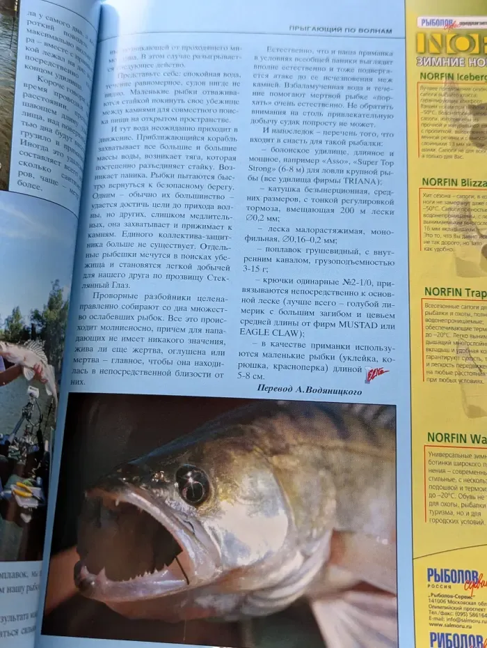 Рыболов. Выпуск № 6/2005