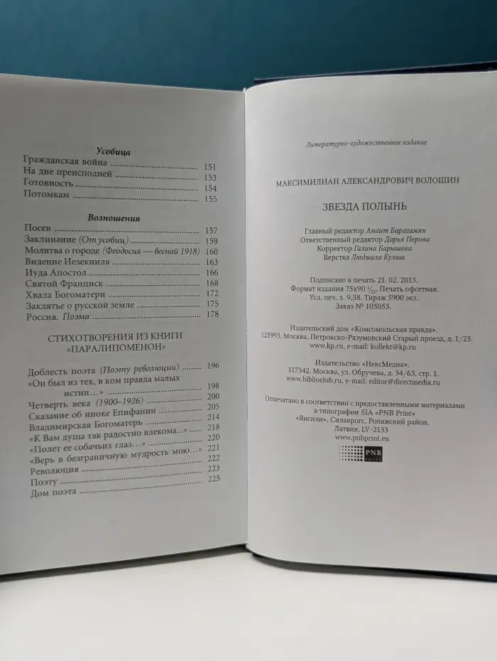 Великие поэты. Том 62. М. Волошин. Звезда полынь