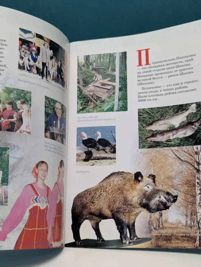Пошехонье