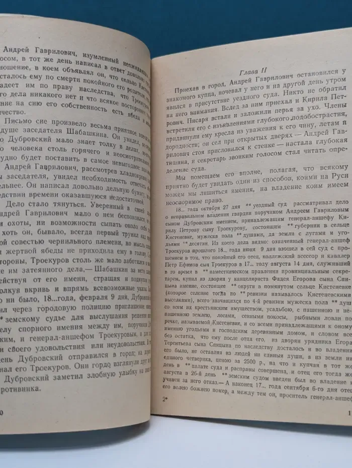 Школьная библиотека. Дубровский