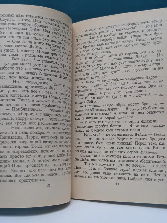 Пять юных сыщиков и верный пес. Тайна коттеджа, который сгорел
